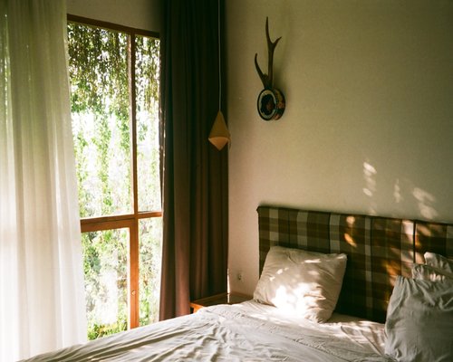 Comfortable bed with soft light coming from window